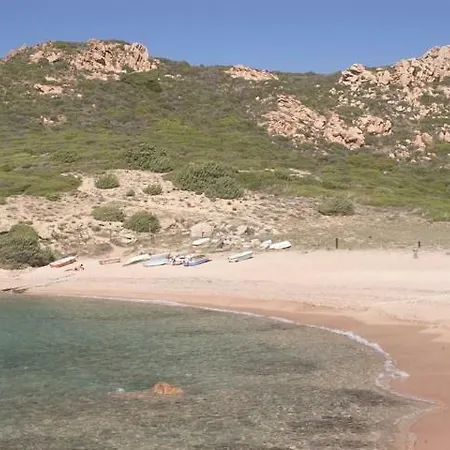 Case Li Sambuli
